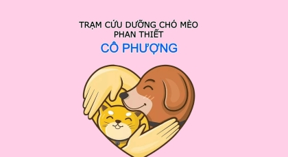 Trạm Cứu Dưỡng Chó Mèo - Cô Phượng