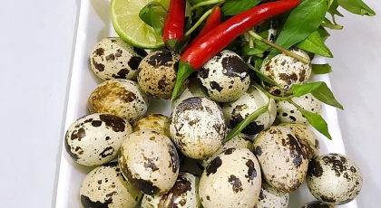 Trứng Cút