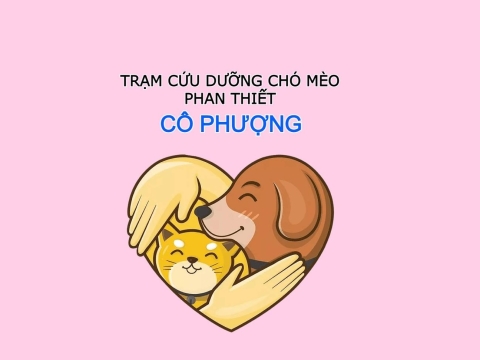 Trạm Cứu Dưỡng Chó Mèo - Cô Phượng